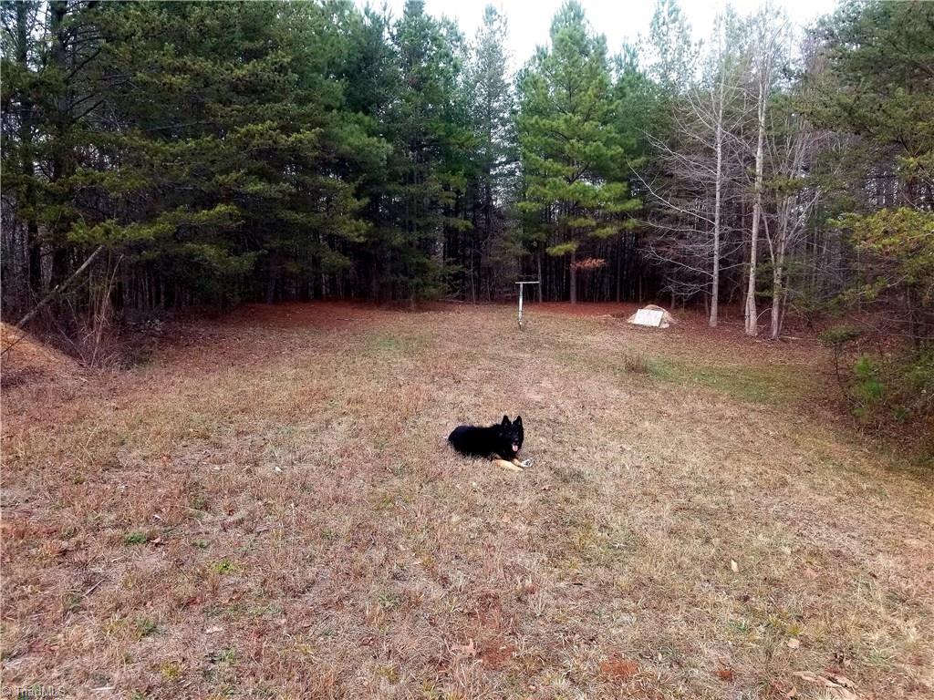 2750 Horseshoe Neck Road Lexington, NC 27295 - Photo 16 of 19 Room for private shooting range or just to watch the wildlife that roam the 27.4 acres ( Shepherd not included )