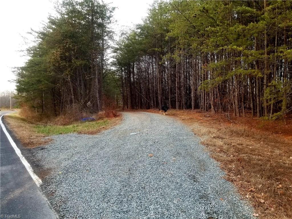 2750 Horseshoe Neck Road Lexington, NC 27295 - Photo 18 of 19 Treed entrance to add privacy with a gate