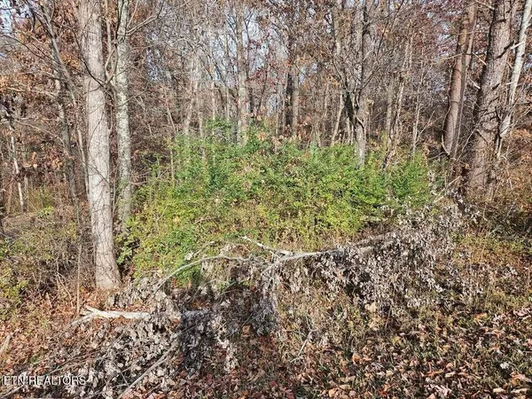 $30,000 | 29-30 Smyrna Heights, Evensville, TN 37332