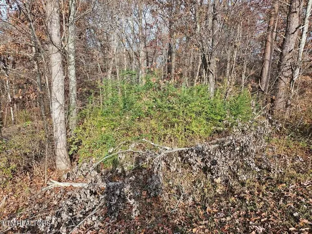 $30,000 | 29-30 Smyrna Heights, Evensville, TN 37332