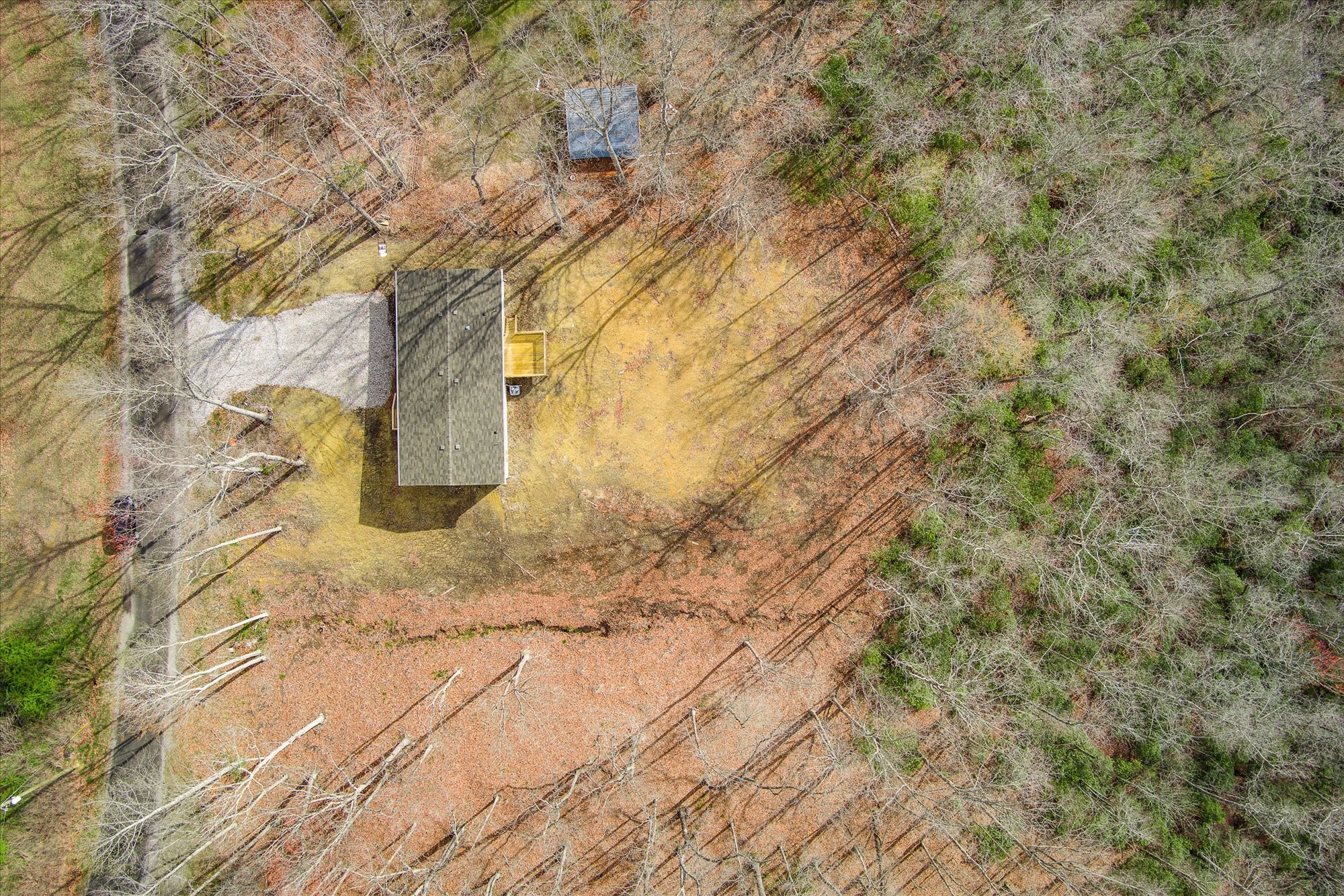 750 Maple Branch Road Sparta, TN 38583 - Photo 28 of 36 a view of a yard