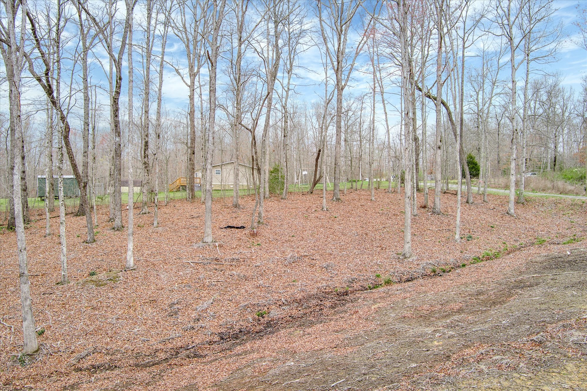 750 Maple Branch Road Sparta, TN 38583 - Photo 29 of 36 a view of yard