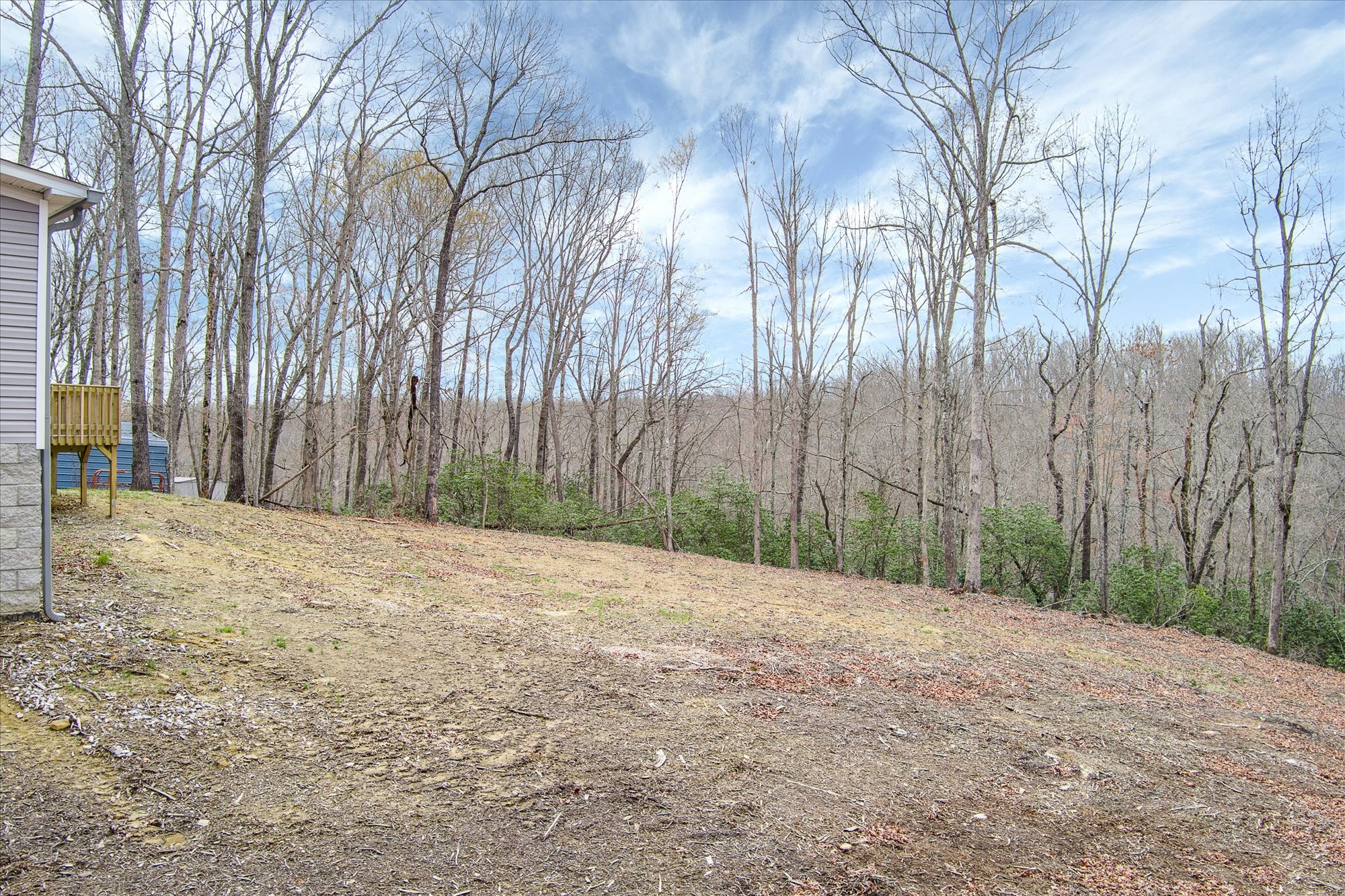 750 Maple Branch Road Sparta, TN 38583 - Photo 30 of 36 a backyard of a house with large trees