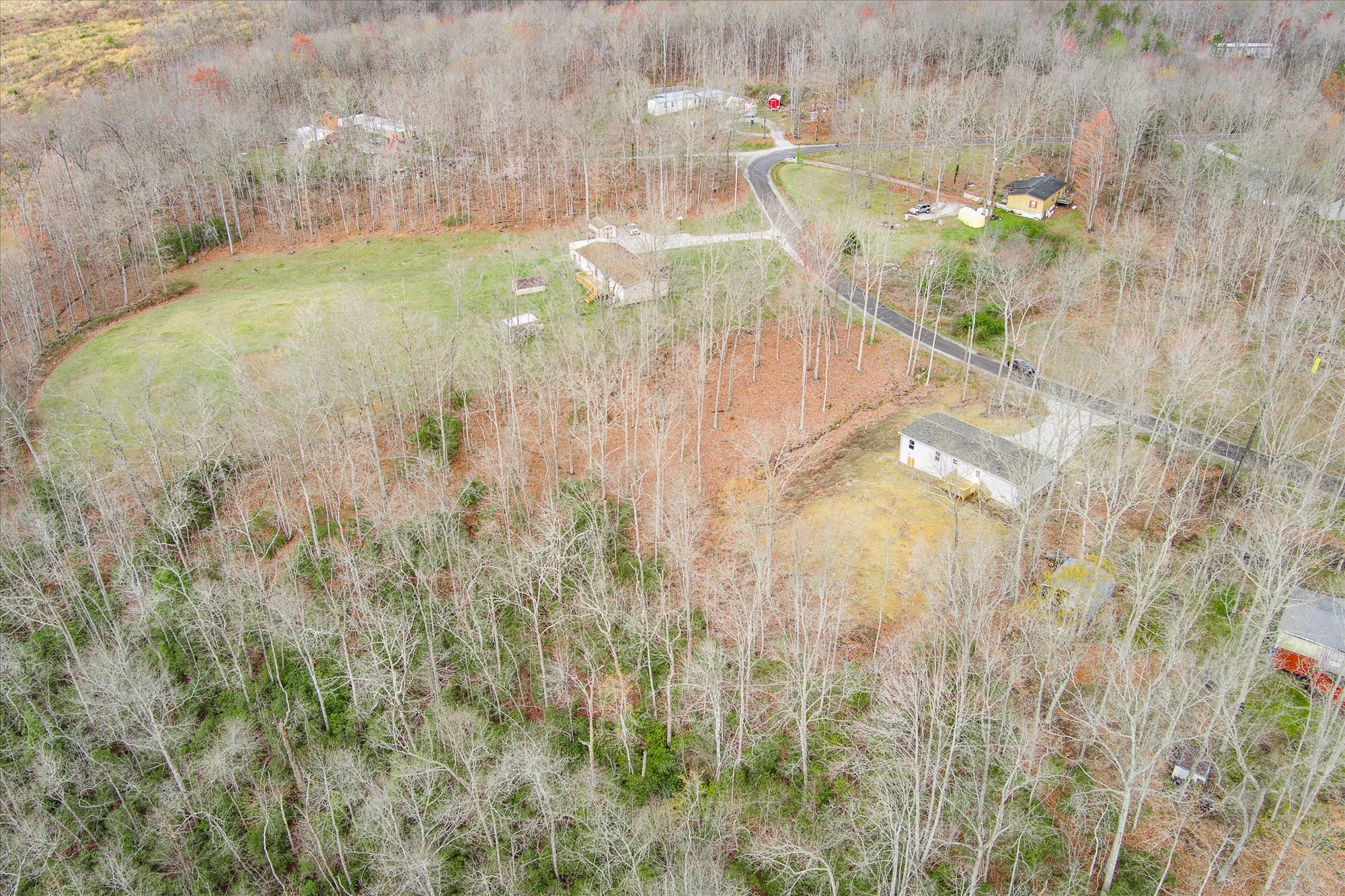750 Maple Branch Road Sparta, TN 38583 - Photo 31 of 36 a view of a lake in a forest