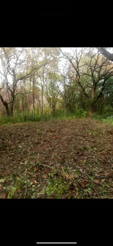 a view of a yard with an outdoor space