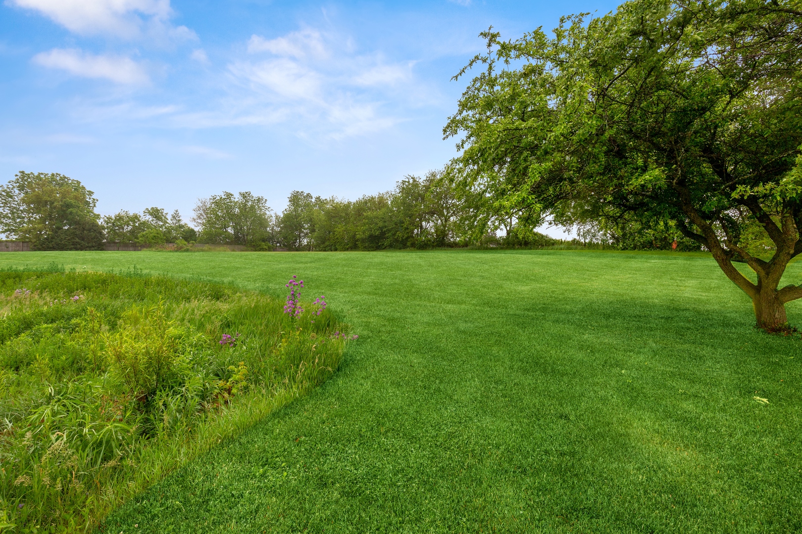 2563 Sheldon Road Grayslake, IL 60046 - Photo 26 of 36 a view of a lush green space