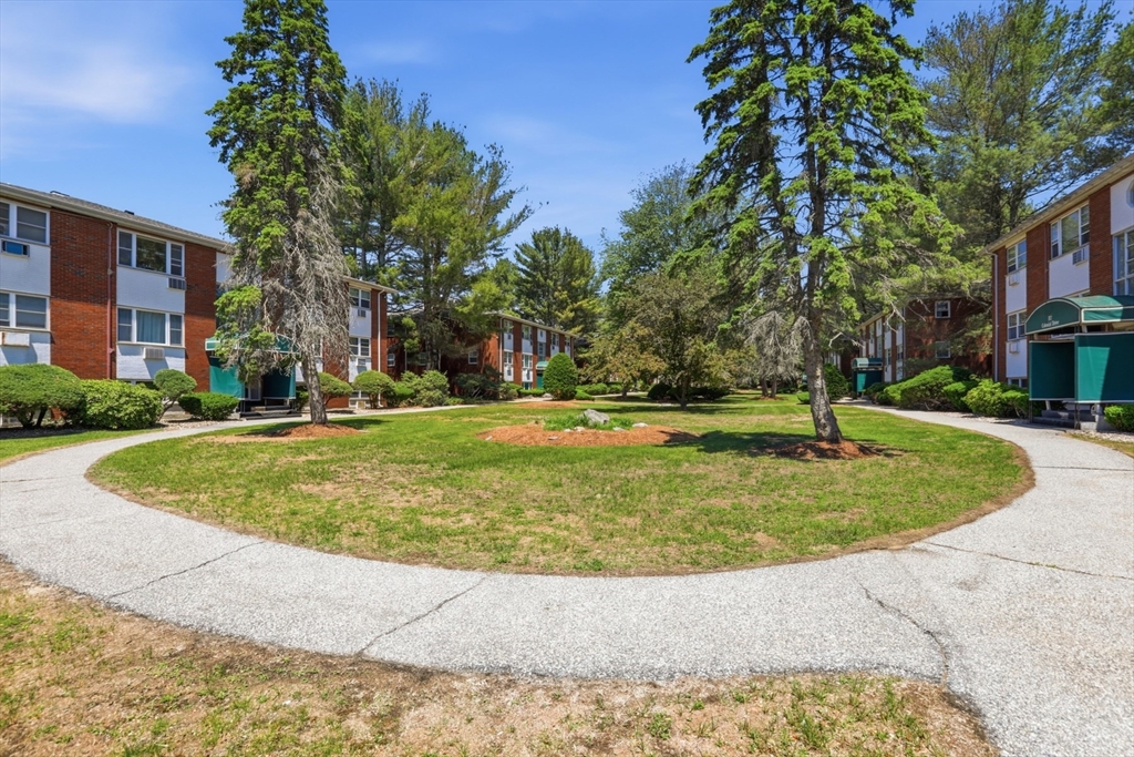 1 Colonial Drive, Unit B1 Andover, MA 01810 - Photo 13 of 14 a view of outdoor space yard and tree