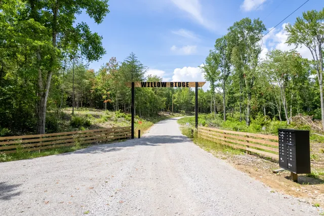 a view of a park with large trees