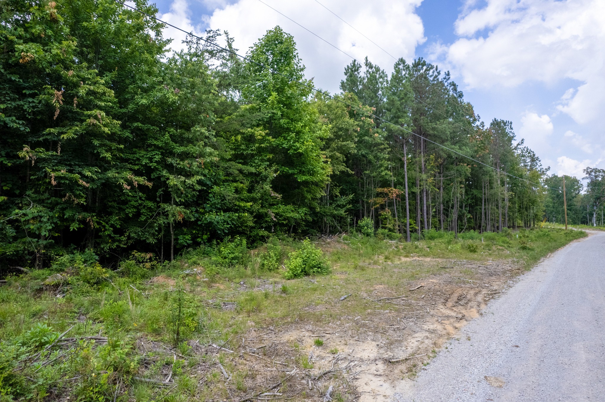 0 Topside Drive Spencer, TN 38585 - Photo 8 of 9 a view of outdoor space with trees all around