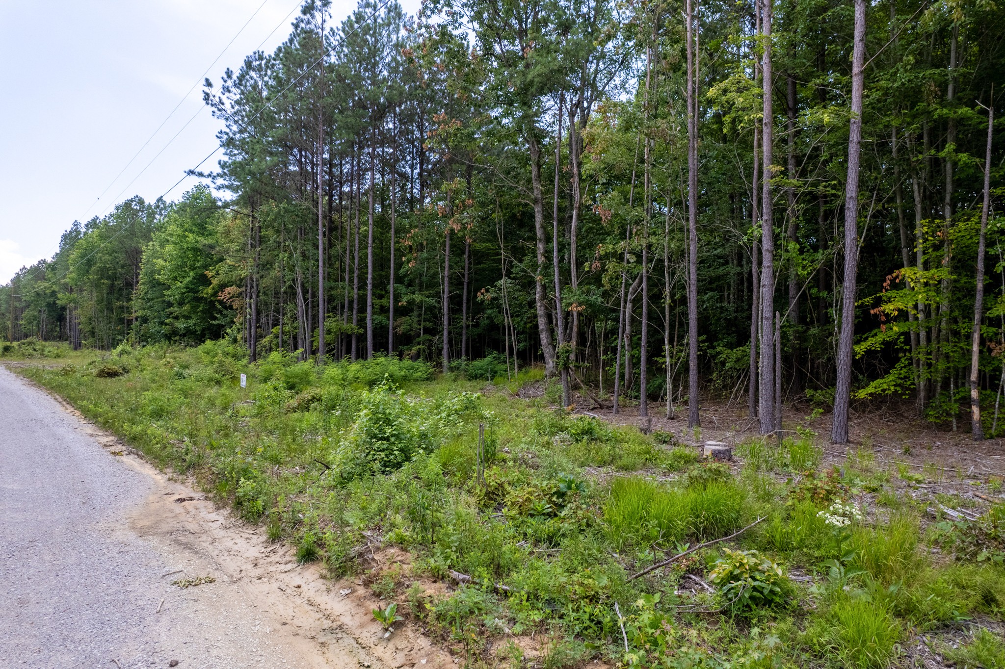 0 Topside Drive Spencer, TN 38585 - Photo 9 of 9 a view of forest