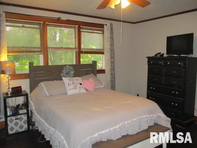 412 North Prairie Street Lacon, IL 61540 - Photo 17 of 30 Gallery Image 17