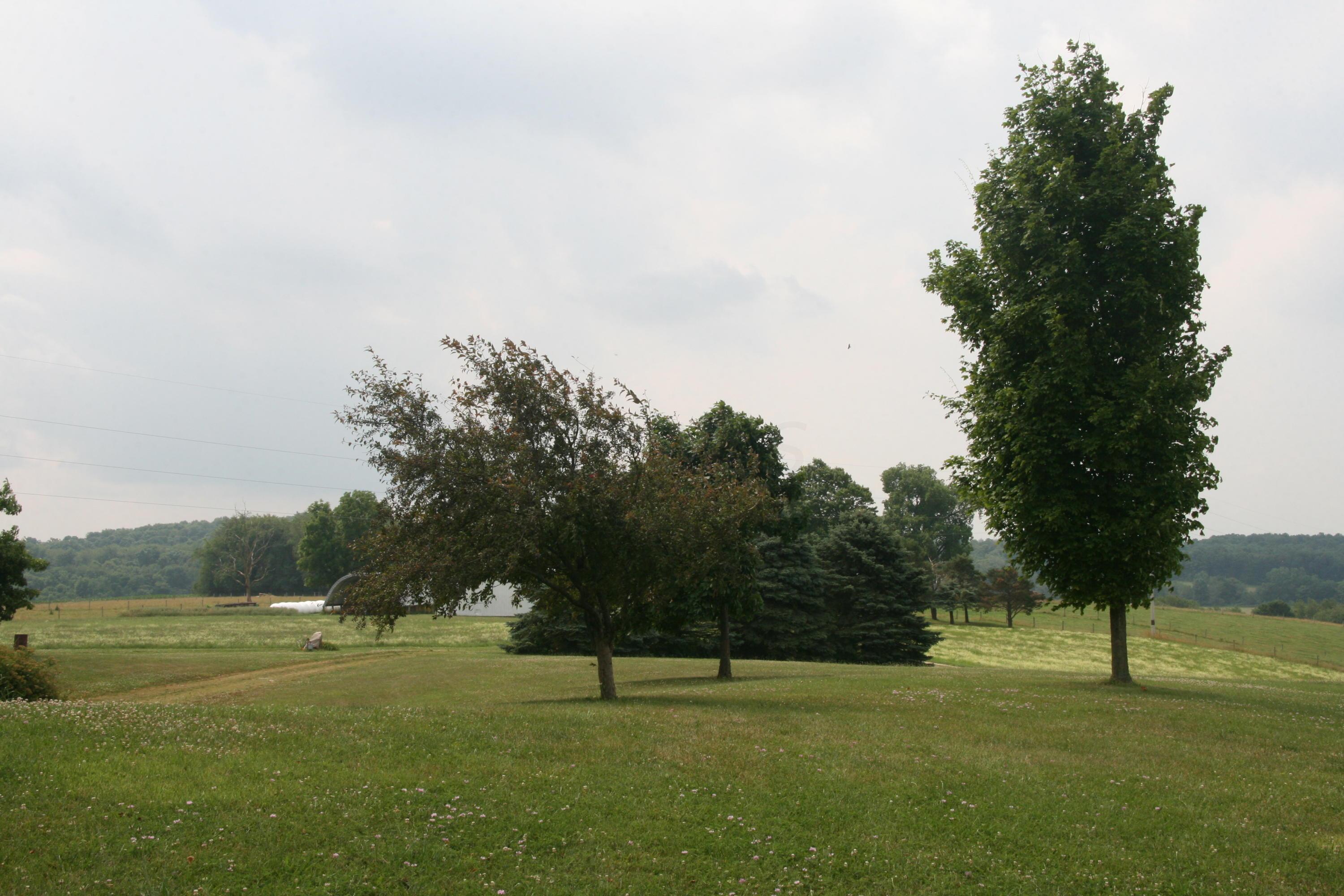 16005 Spohn Road Fredericktown, OH 43019 - Photo 3 of 53