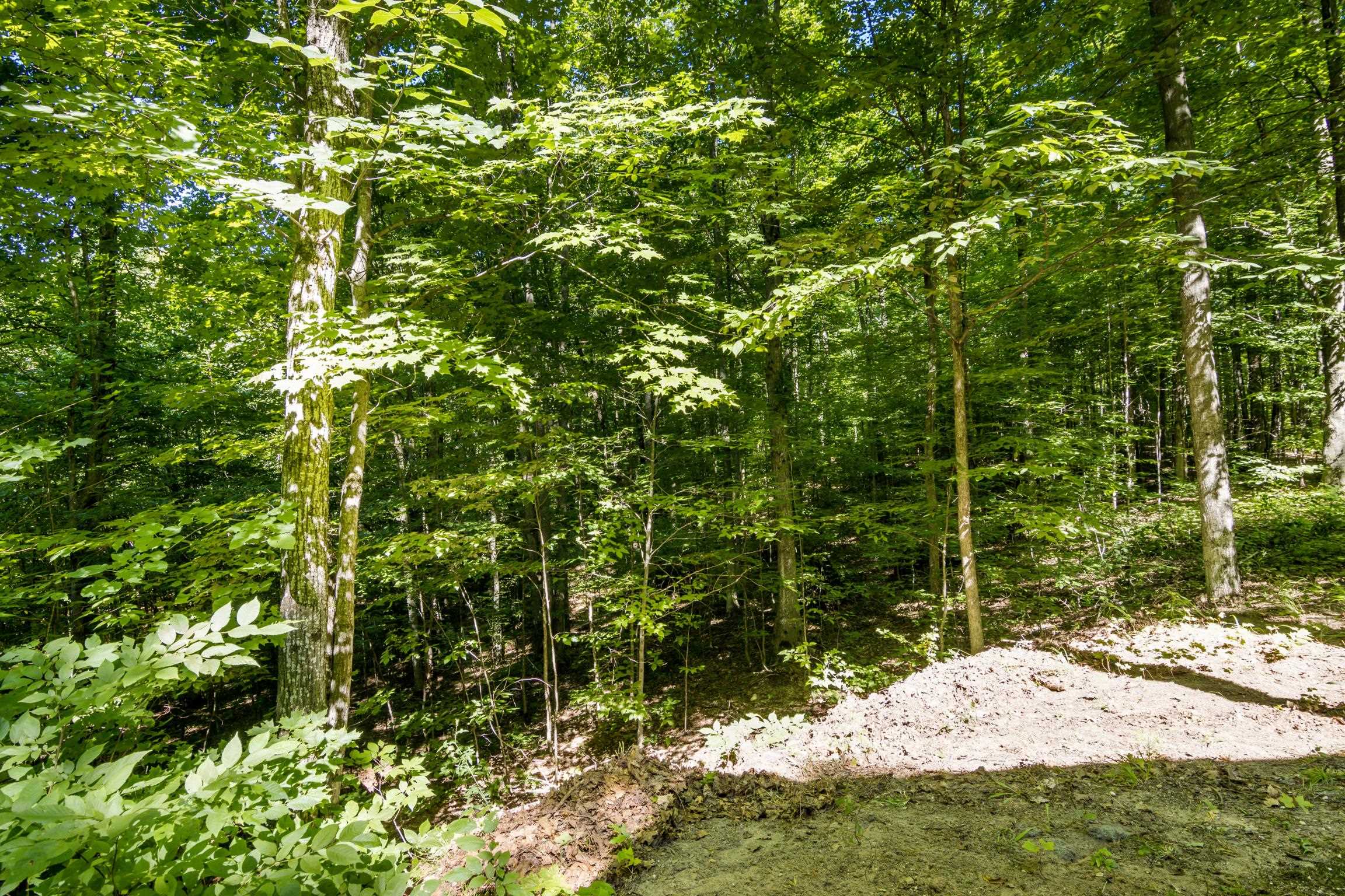 5020 Satterly Lake Road Mancelona, MI 49659 - Photo 41 of 61