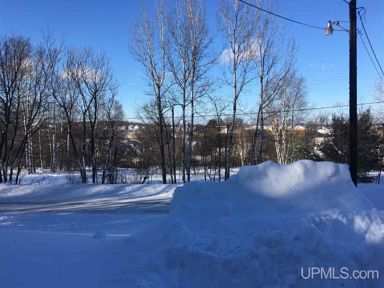 230 Bluff Street Ishpeming, MI 49849 - Photo 31 of 34