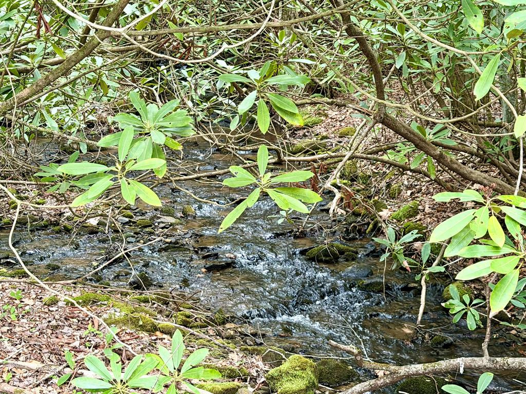 2-lots 2-lots Warrior Way Road Andrews, NC 28901 - Photo 6 of 6