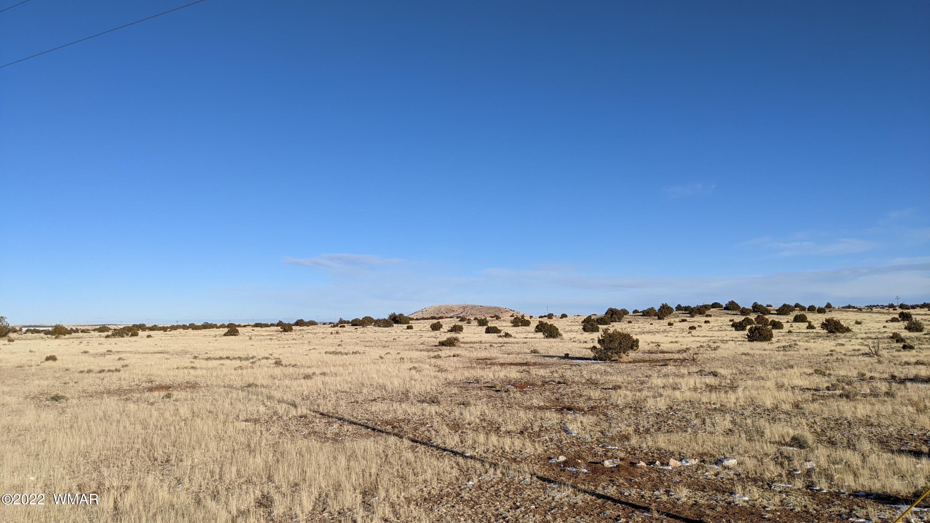 Lot 135 Windsor Valley Ranch Concho, AZ 85924 - Photo 5 of 9