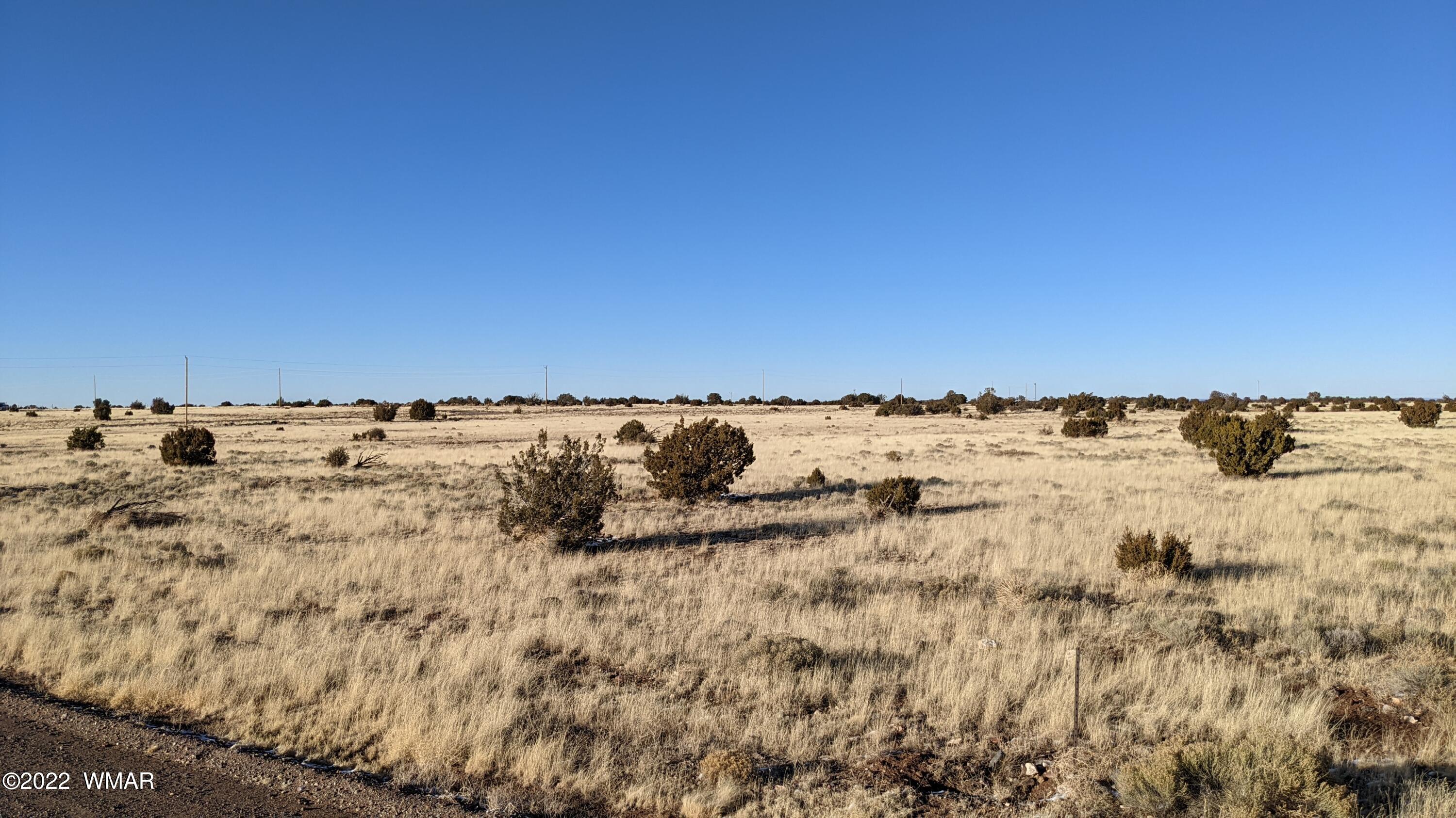 Lot 135 Windsor Valley Ranch Concho, AZ 85924 - Photo 6 of 9