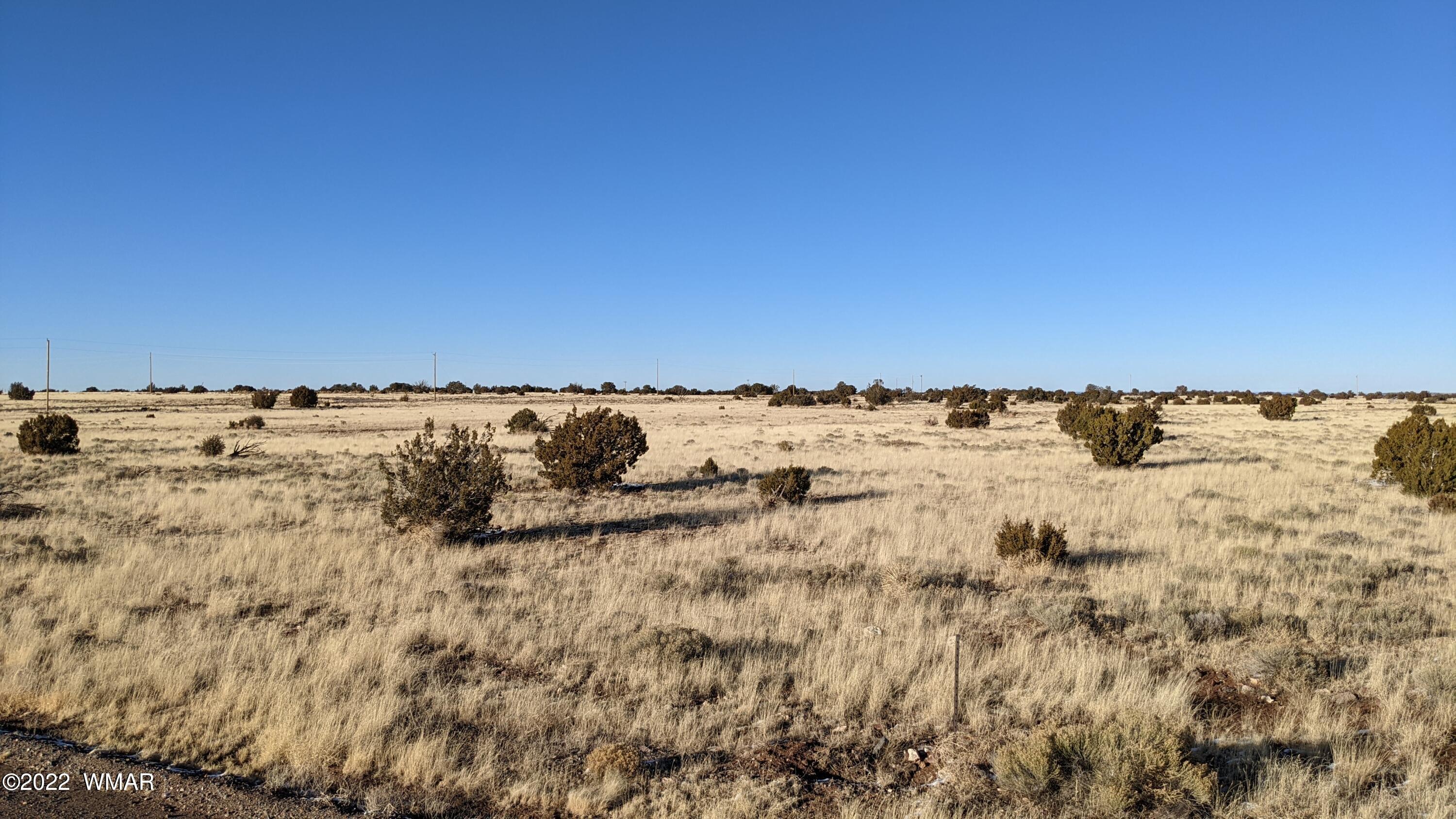 Lot 135 Windsor Valley Ranch Concho, AZ 85924 - Photo 8 of 9