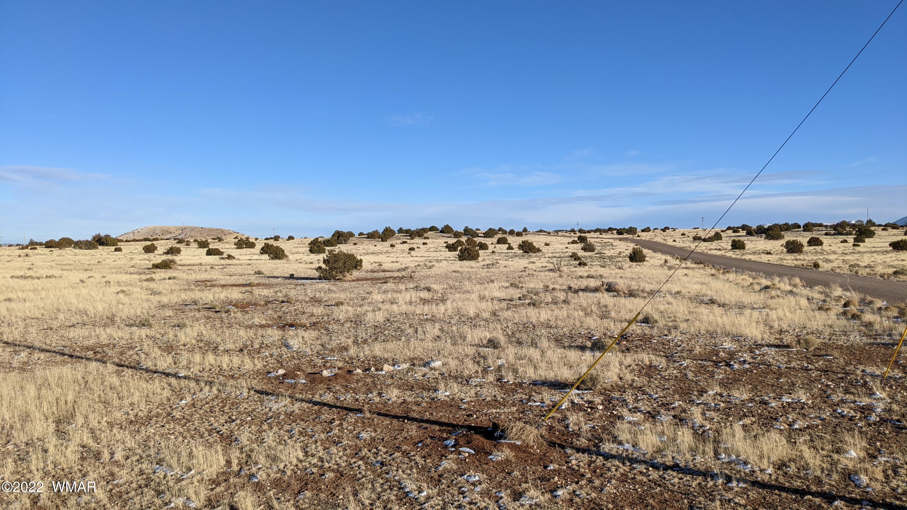 Lot 135 Windsor Valley Ranch Concho, AZ 85924 - Photo 9 of 9