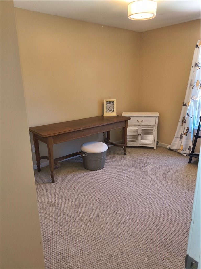 4553 Lower River Road Lewiston, NY 14092 - Photo 22 of 34