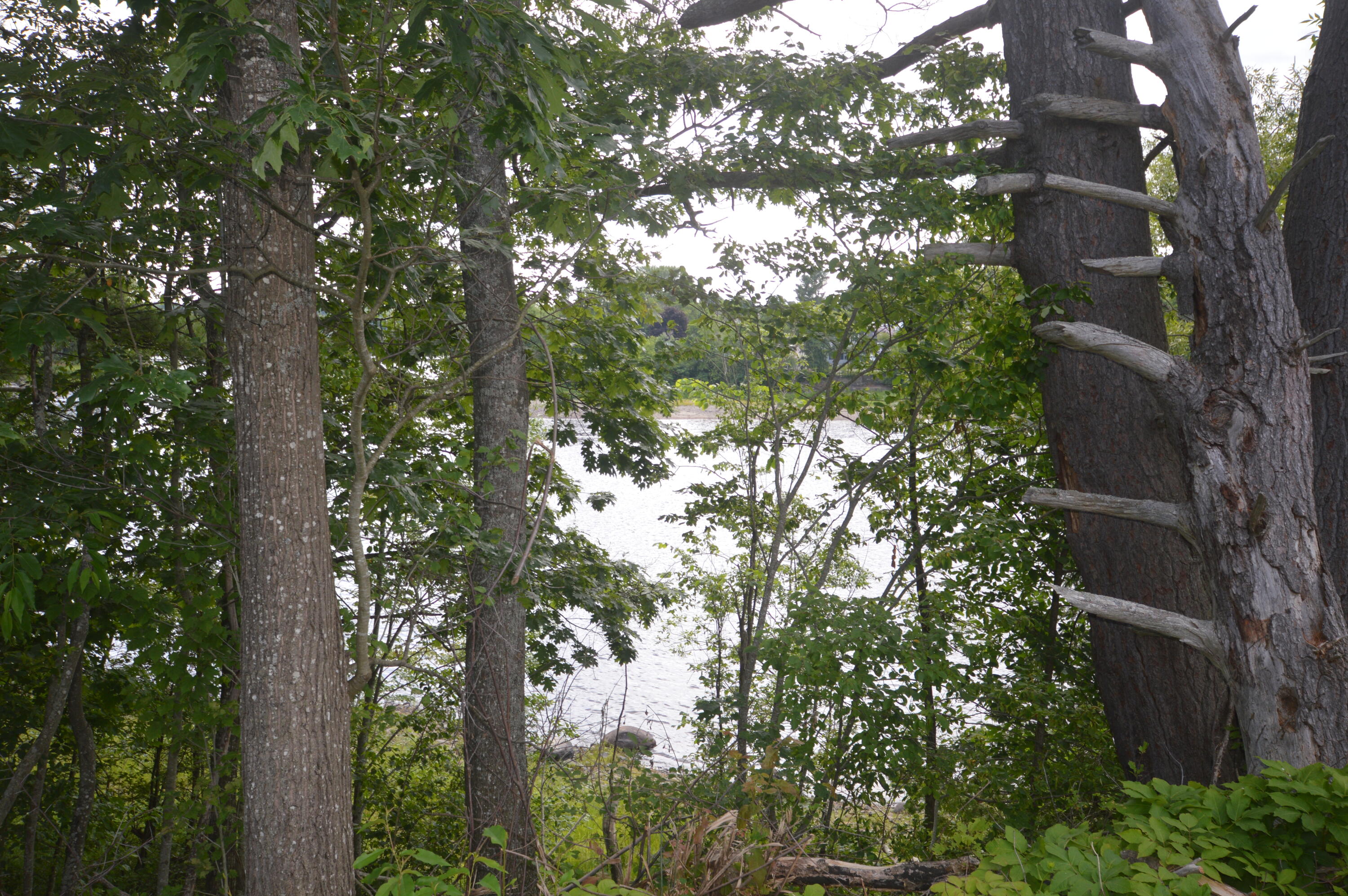 118 Bradley Road Milford, ME 04461 - Photo 39 of 43 DSC_0073