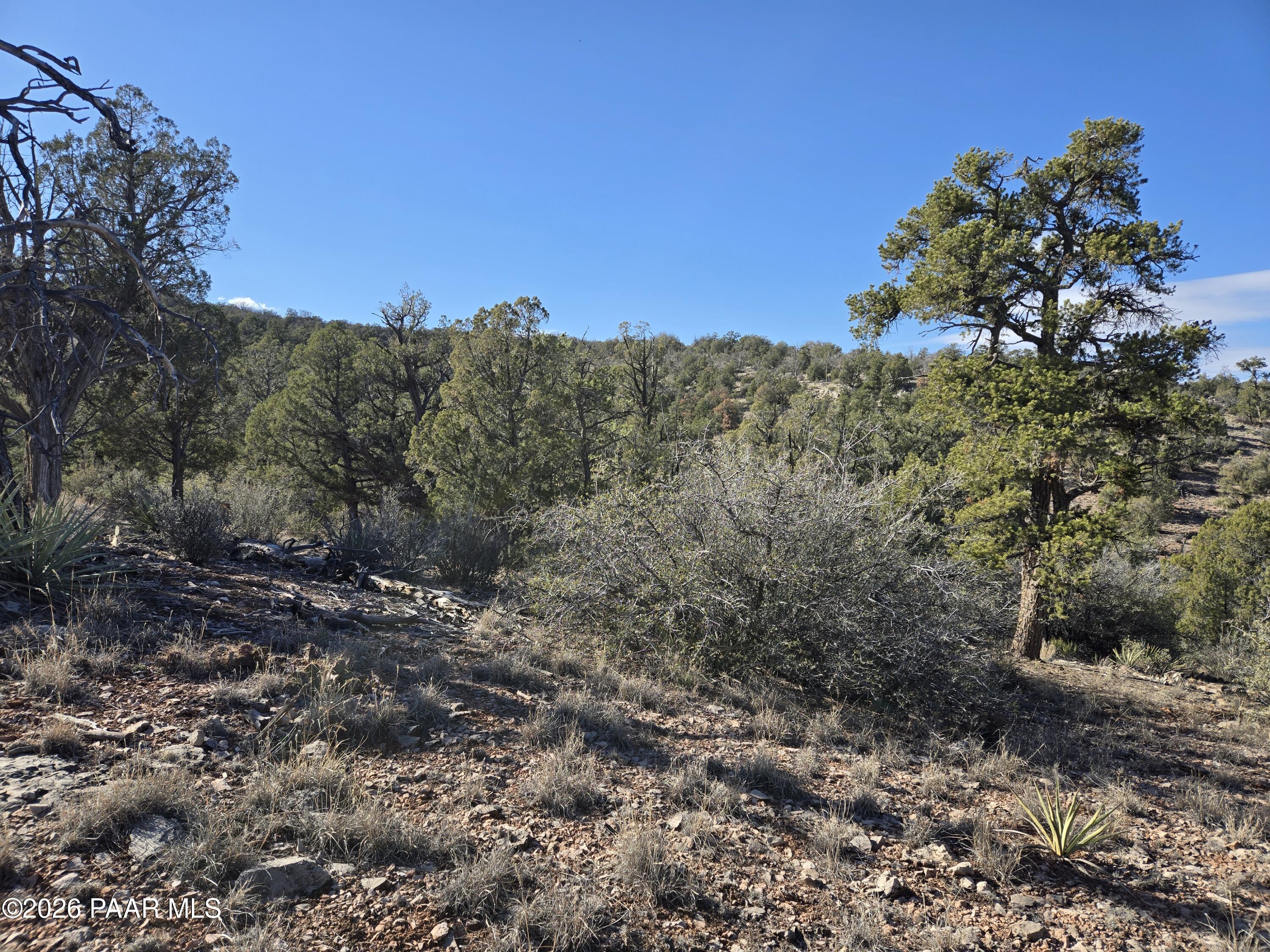 446 Arizona Road Ash Fork, AZ 86320 - Photo 8 of 13 20260206_145558