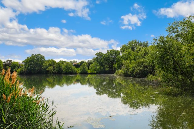 2105 Sutherland Place Hoffman Estates, IL 60169 - Photo 26 of 27 a view of lake