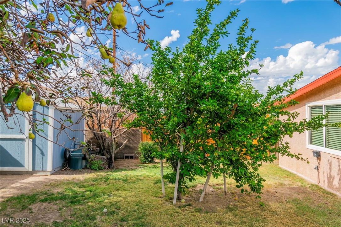 111 Maple Street Henderson, NV 89015 - Photo 28 of 37 View of yard