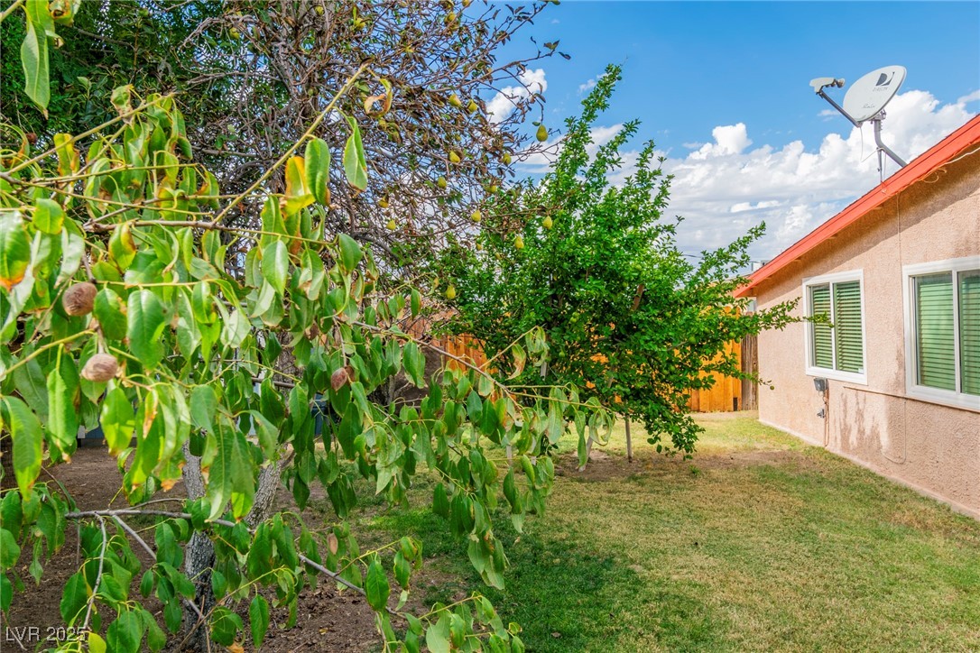 111 Maple Street Henderson, NV 89015 - Photo 29 of 37 View of yard