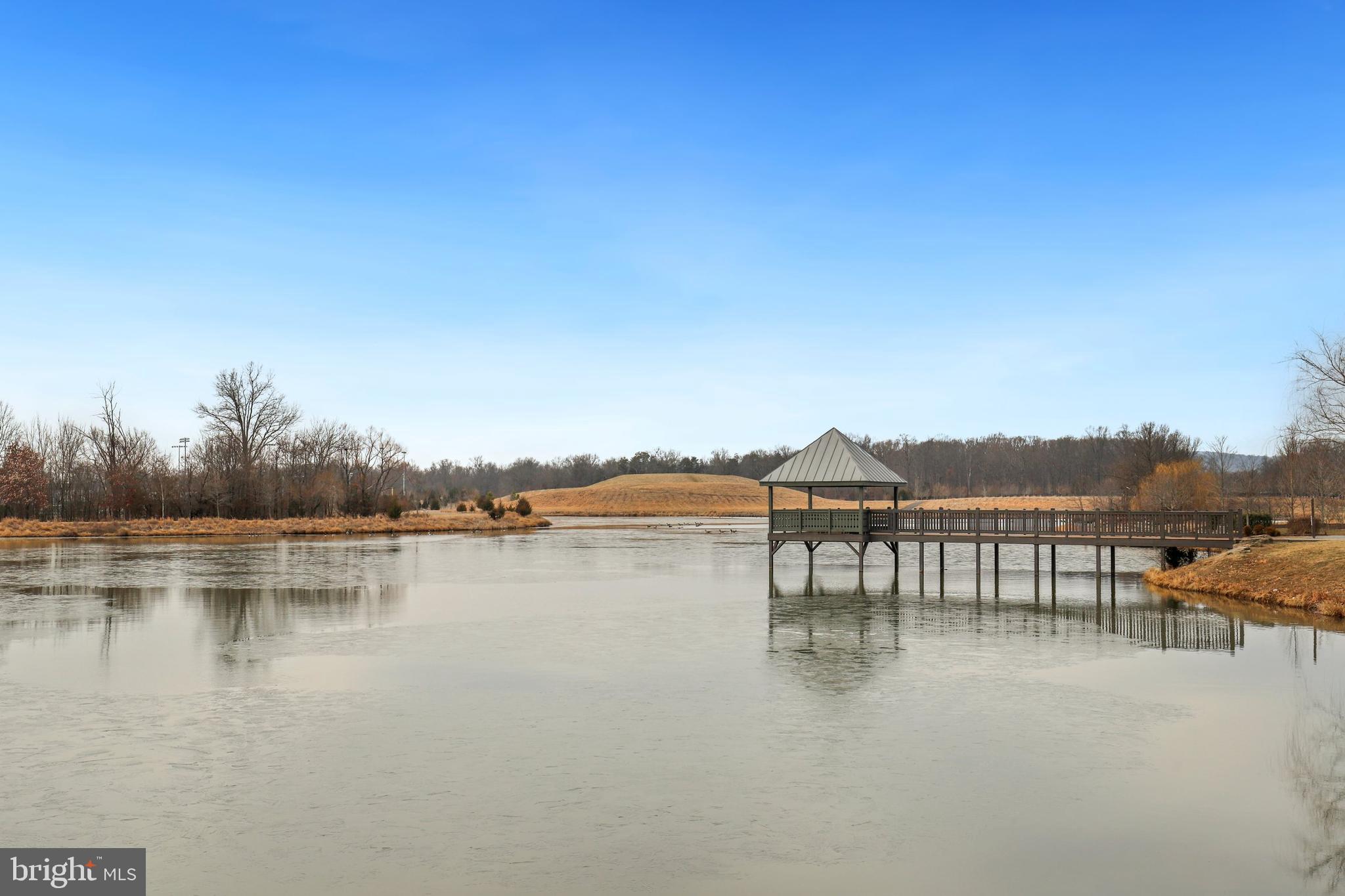 41868 Paddock Gate Place Ashburn, VA 20148 - Photo 83 of 91