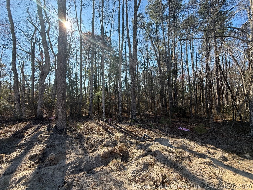219 Rachel Road Fayetteville, NC 28311 - Photo 6 of 7 a view of outdoor space with trees