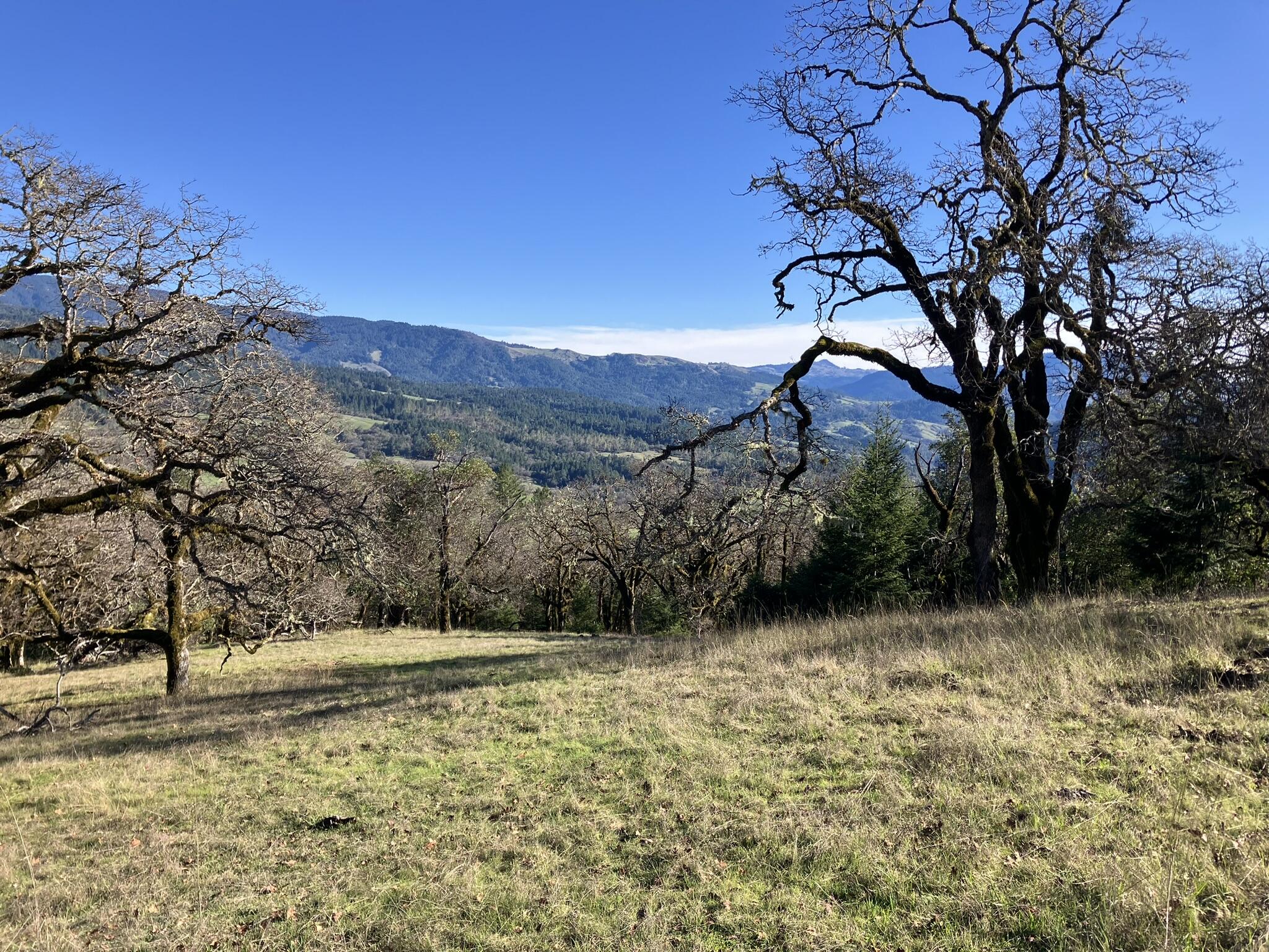 123 Cemetery Road Blocksburg, CA 95514 - Photo 2 of 36