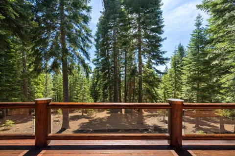 a view of trees and deck