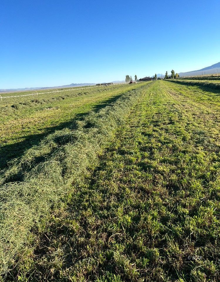 1199 Fire Station Road South Ely, NV 89301 - Photo 42 of 46