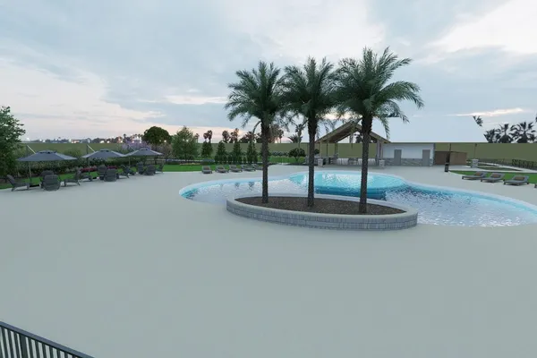 a view of a lake with a palm tree