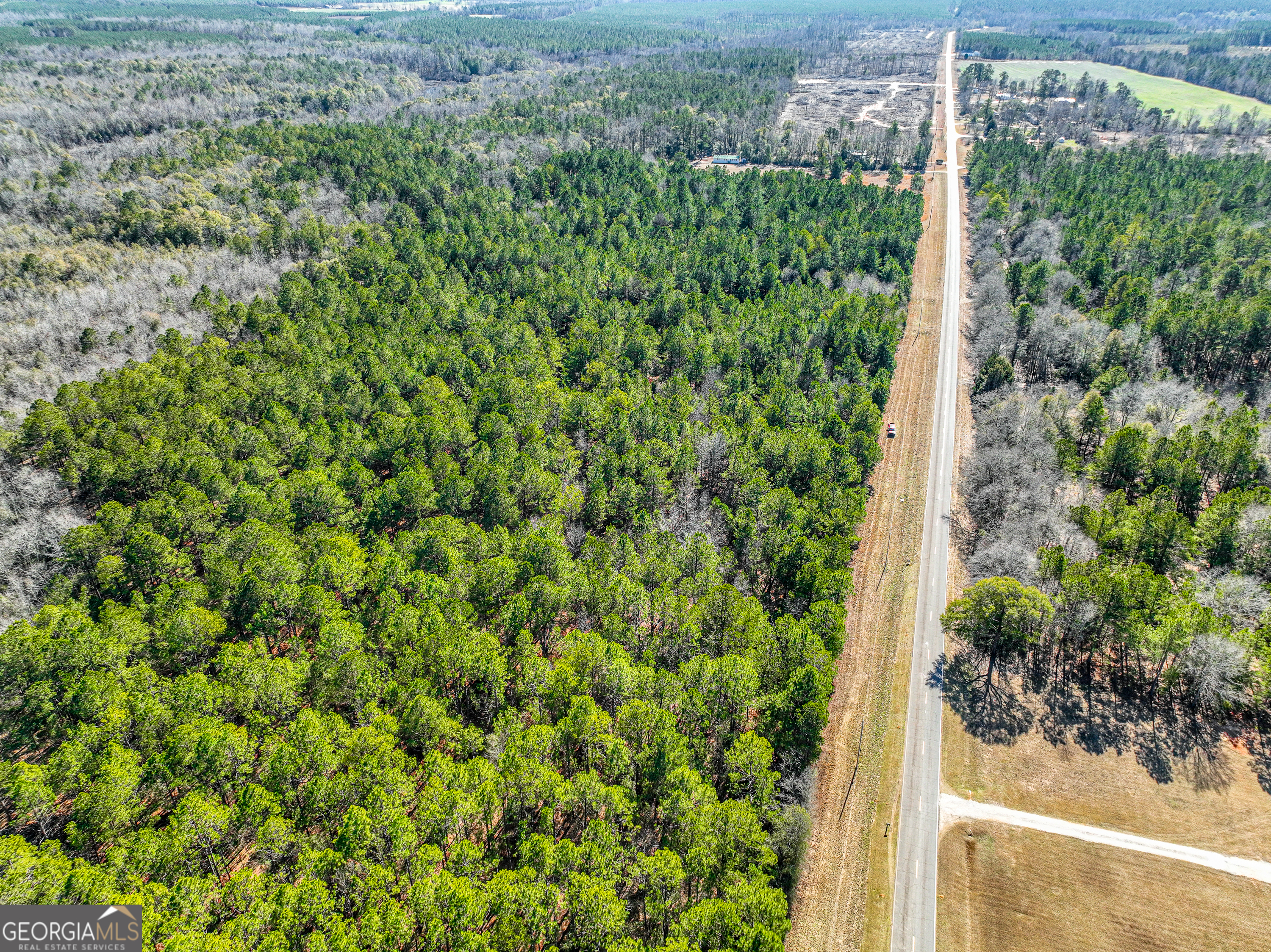 0 Buckeye Road Tennille, GA 31089 - Photo 4 of 13
