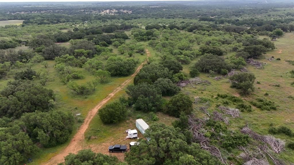 12550 County Road 136 Ranger, TX 76470 - Photo 2 of 19