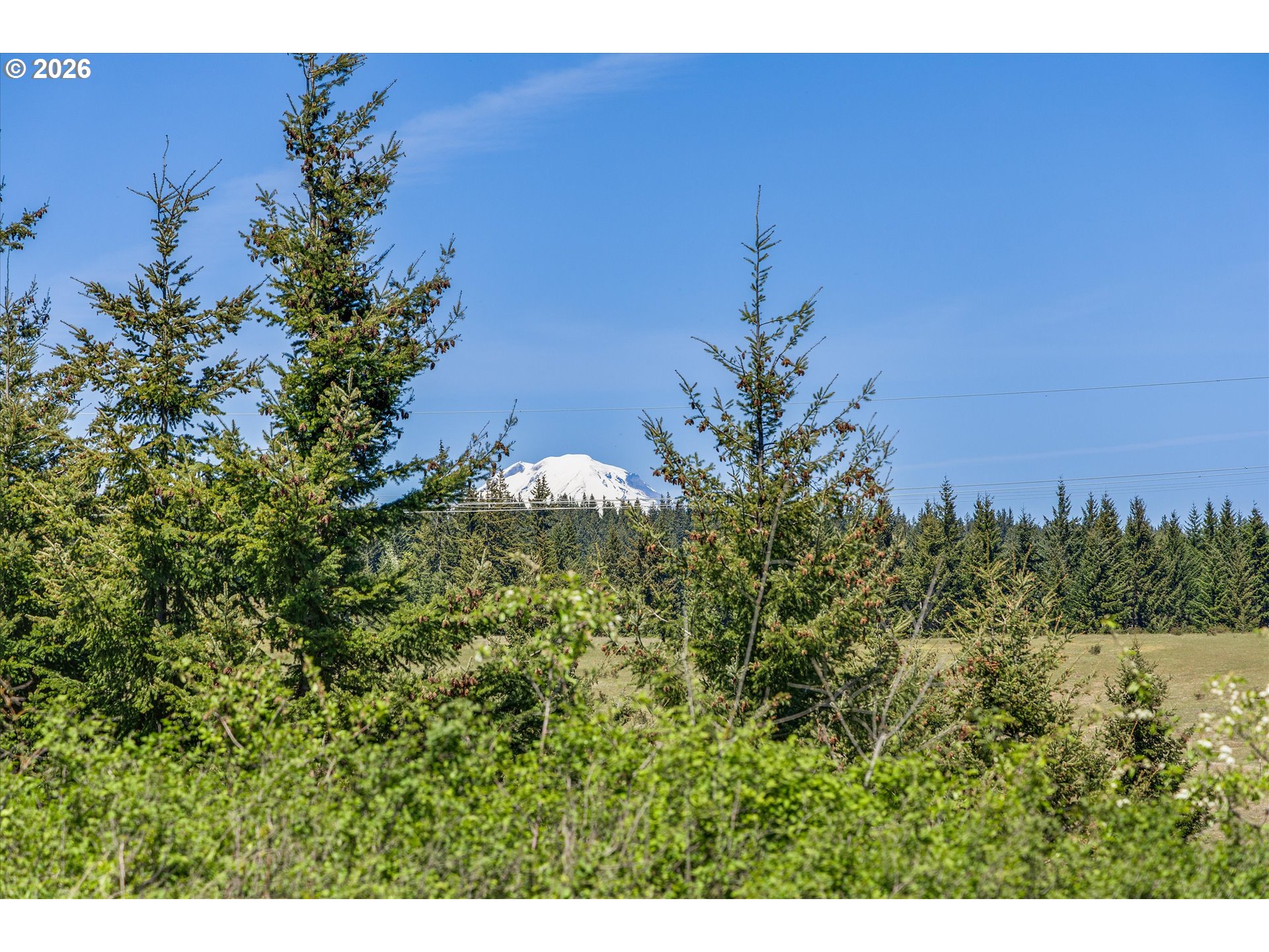 55 Pyatt Road White Salmon, WA 98672 - Photo 22 of 24