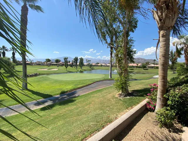 a view of a park with large trees