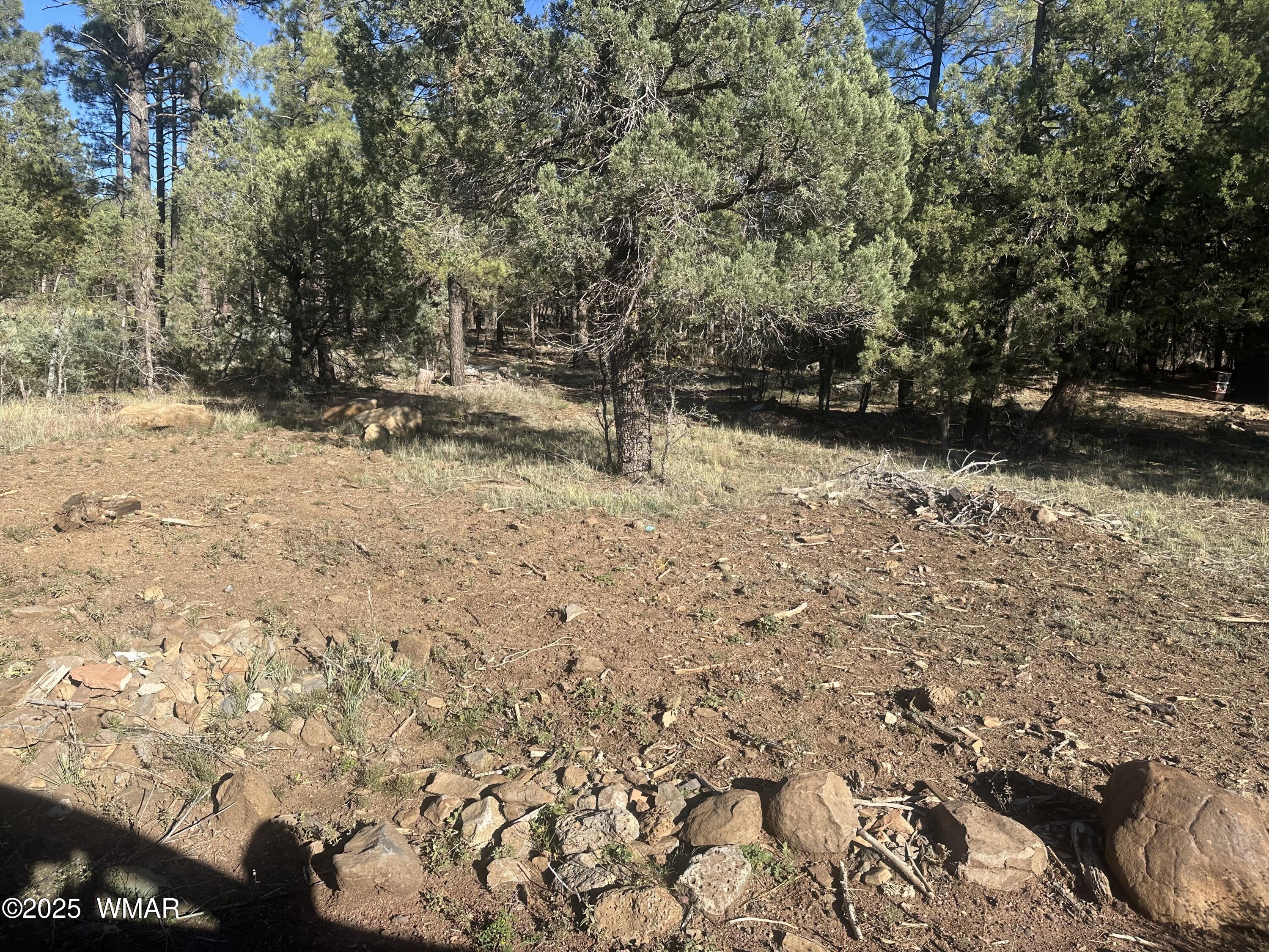 Tbd Rodgers Road Lakeside, AZ 85929 - Photo 6 of 7 a view of outdoor space with trees