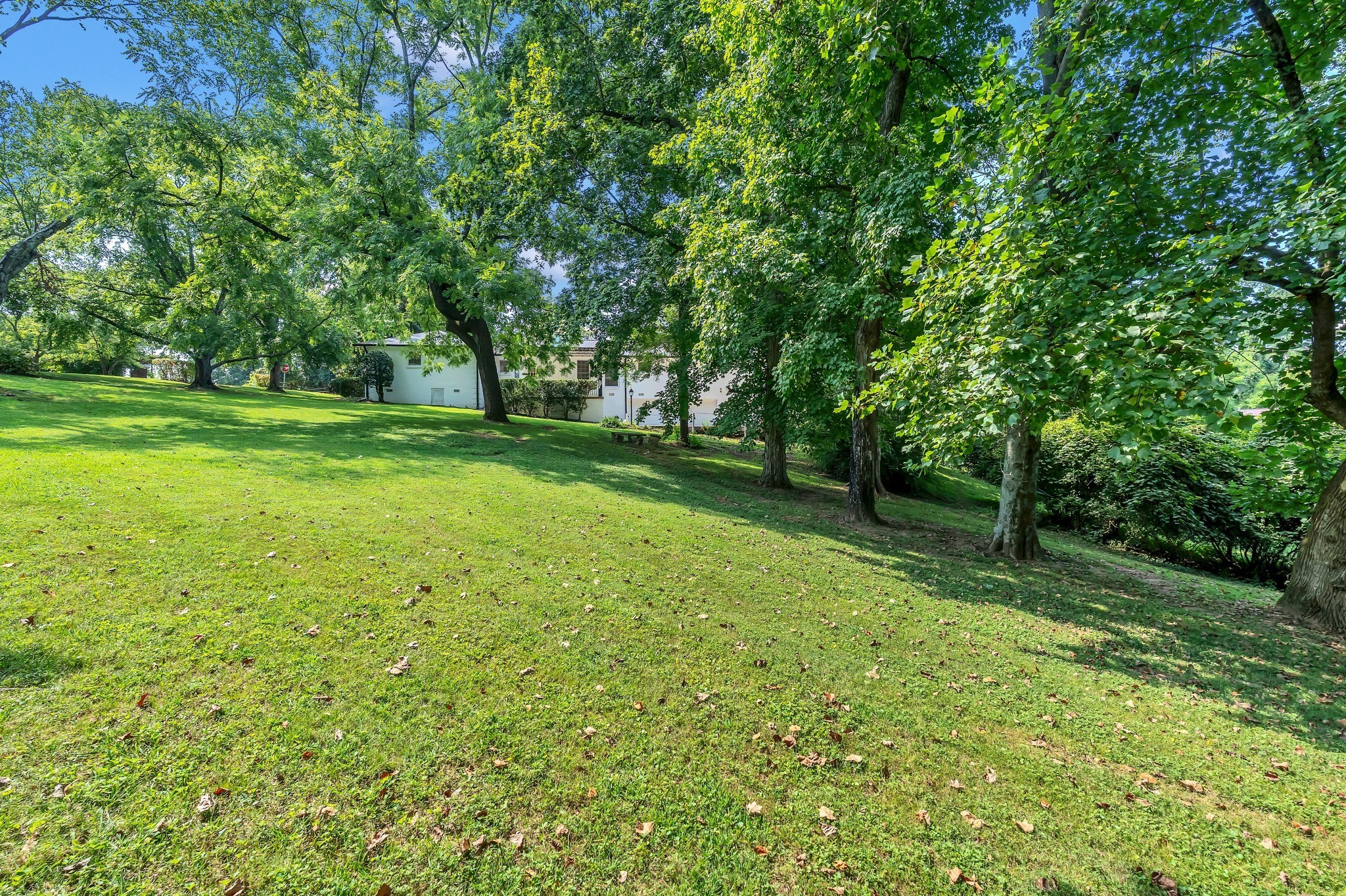 608 Hill Road Nashville, TN 37220 - Photo 42 of 44 a view of a grassy field with trees