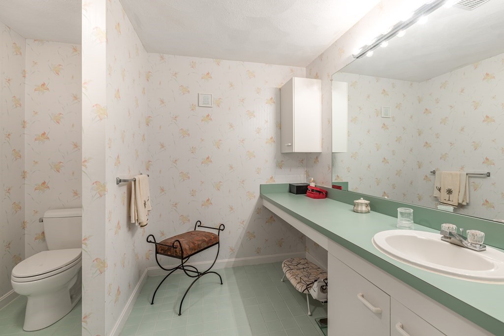14 Deer Path, Unit 1 Maynard, MA 01754 - Photo 19 of 25