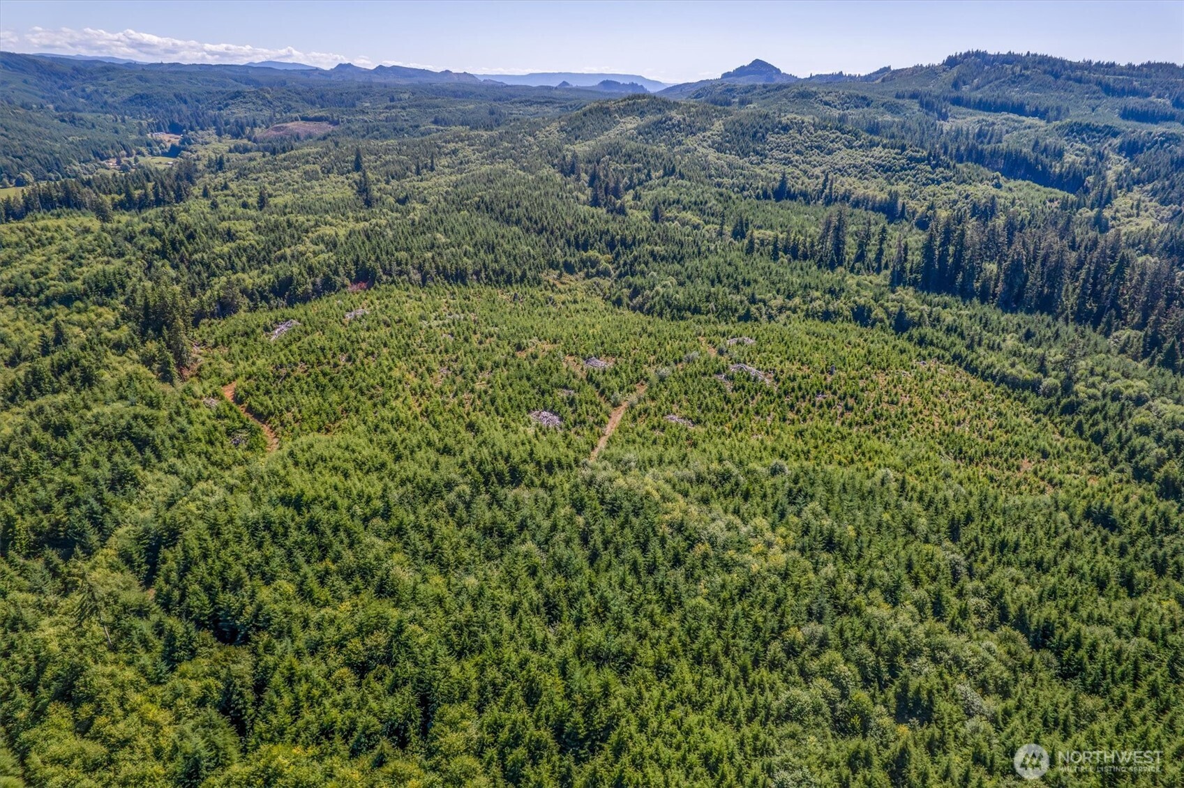 0 Eden Valley Road Rosburg, WA 98643 - Photo 10 of 14