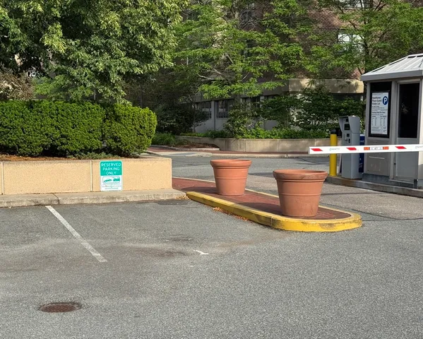 a view of a water with large trees