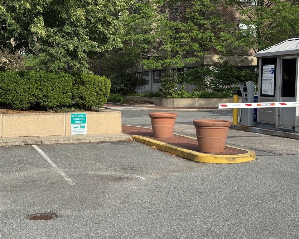 a view of a water with large trees