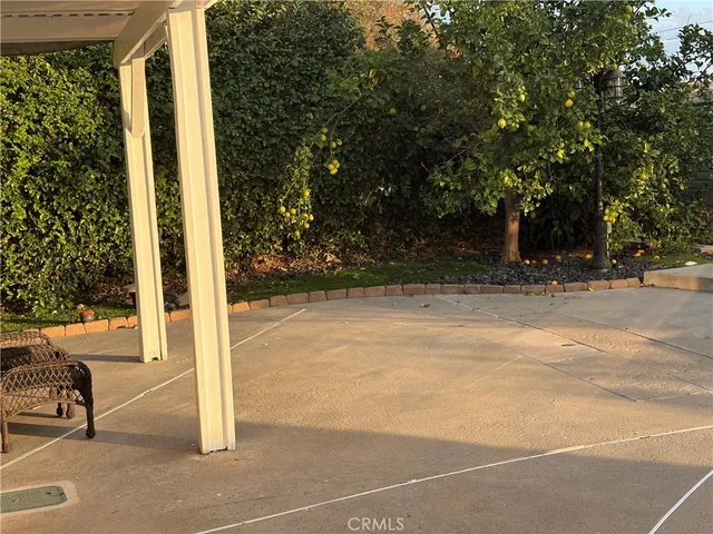 a view of a balcony with a potted plant