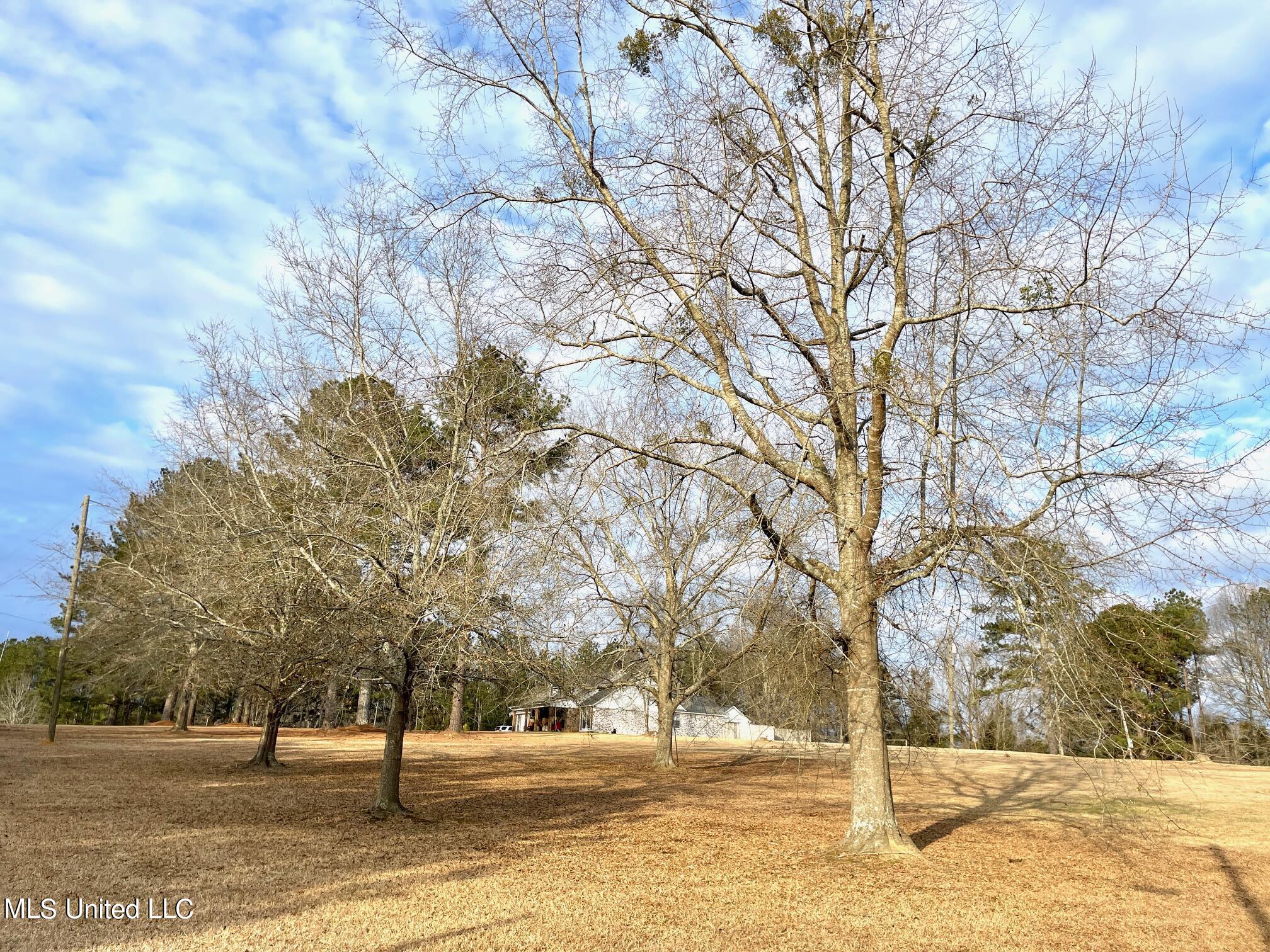 138 Pollard Road Carthage, MS 39051 - Photo 3 of 16 IMG_4212