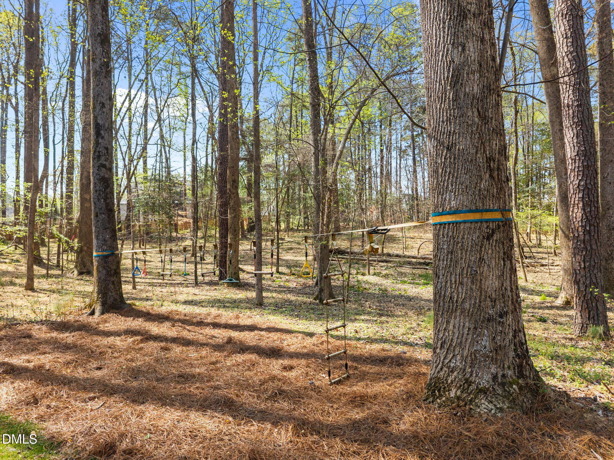 1917 Nipper Road Raleigh, NC 27614 - Photo 56 of 63 Private Wooded Backyard