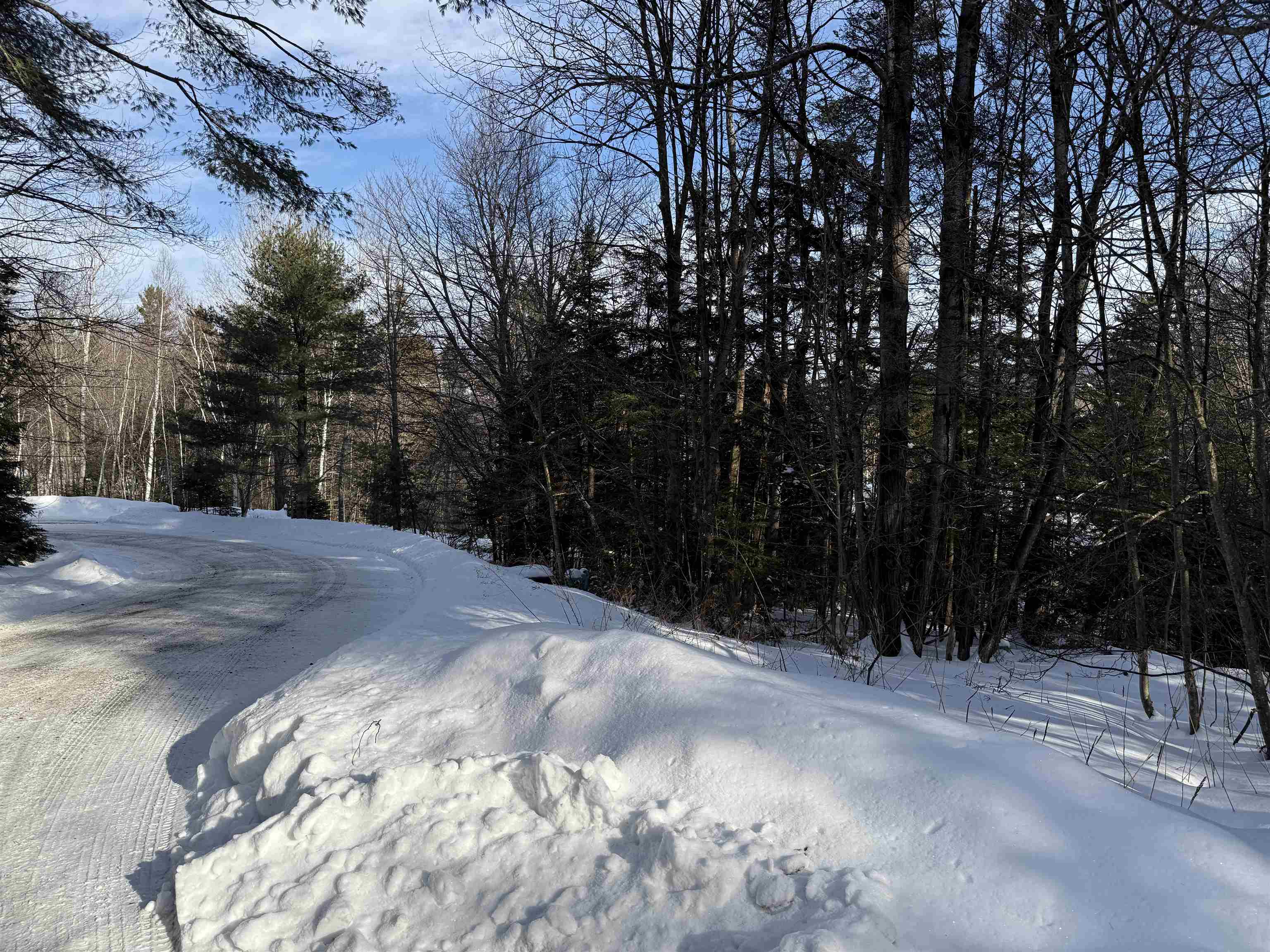 19 Stone Ridge Loop West Dover, VT 05356 - Photo 10 of 27