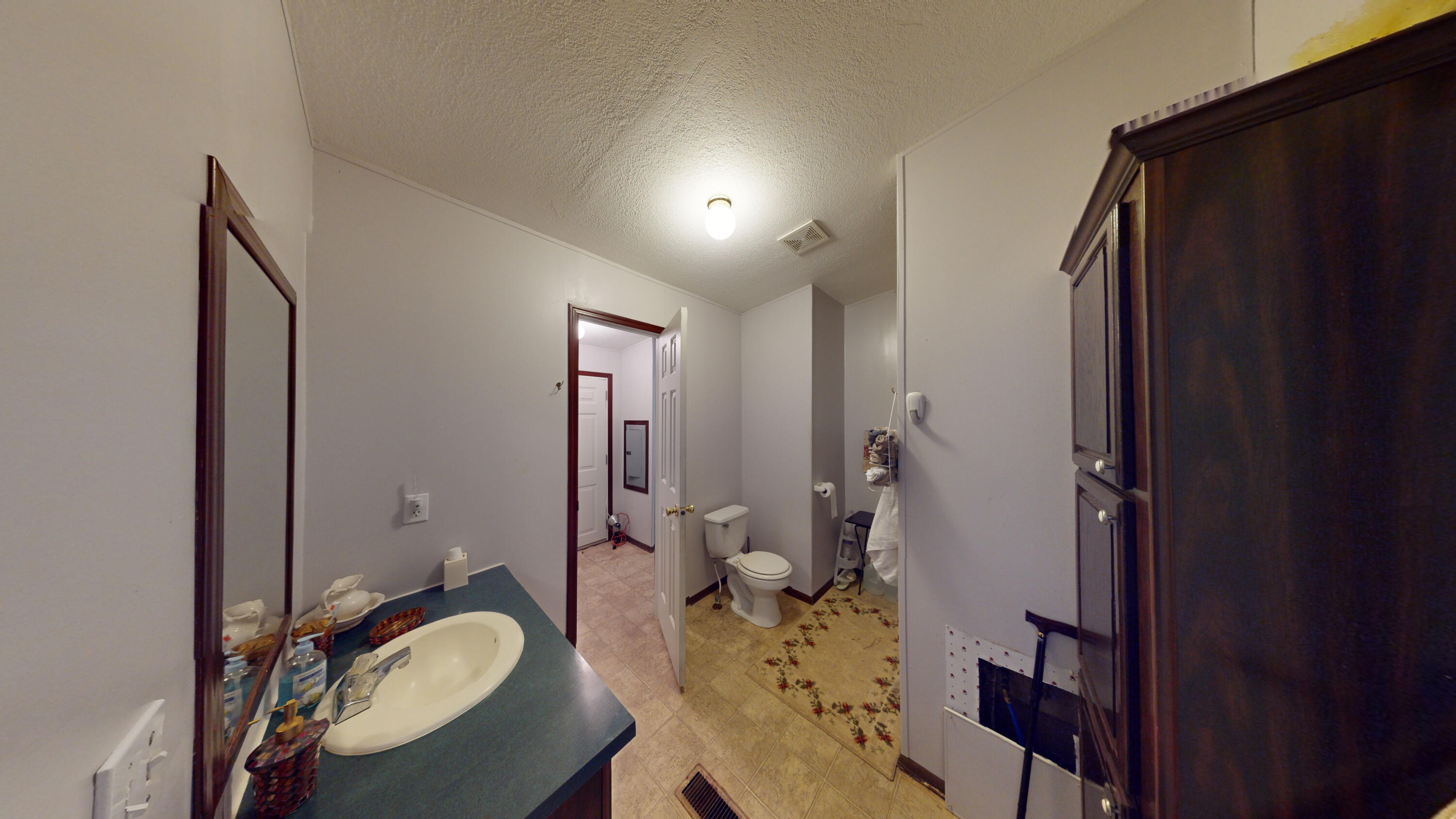 929 Payne Lane Spring City, TN 37381 - Photo 11 of 21 10-Bathroom